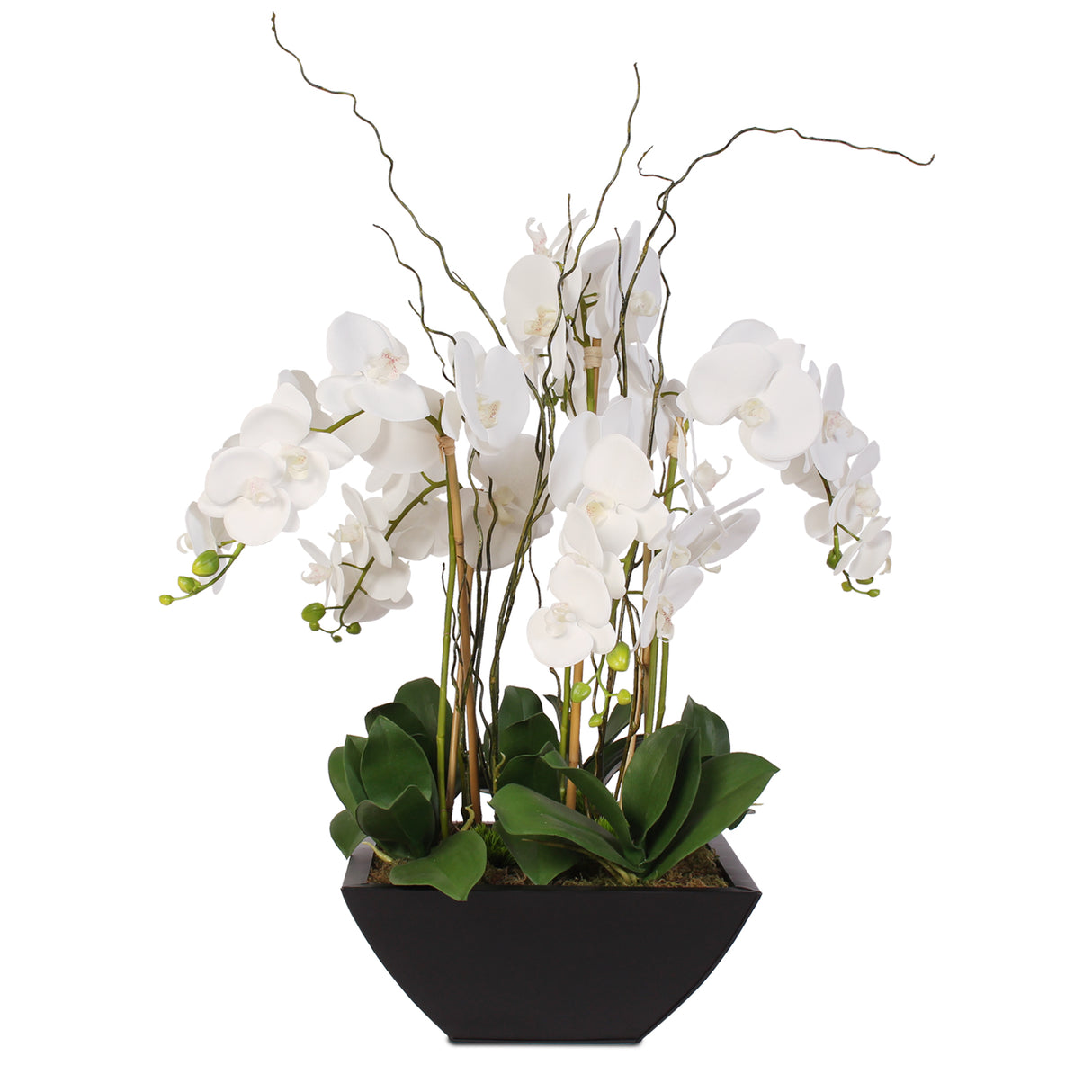 Real Touch Orchids and Leaves in Black Metal Zinc Pot #F-37