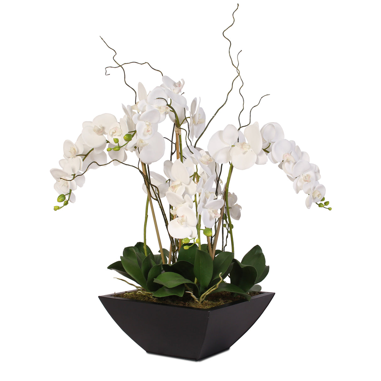Real Touch Orchids and Leaves in Black Metal Zinc Pot #F-37