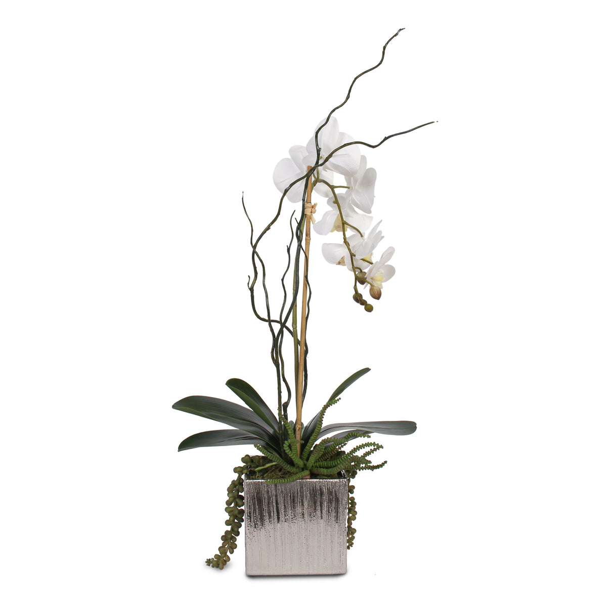 Real Touch White Phalaenopsis Orchid with Succulents in Silver Ceramic Pot #F-44