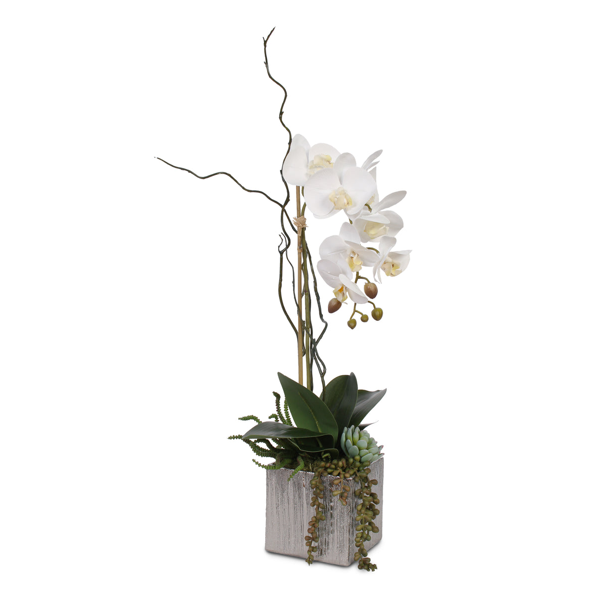 Real Touch White Phalaenopsis Orchid with Succulents in Silver Ceramic Pot #F-44