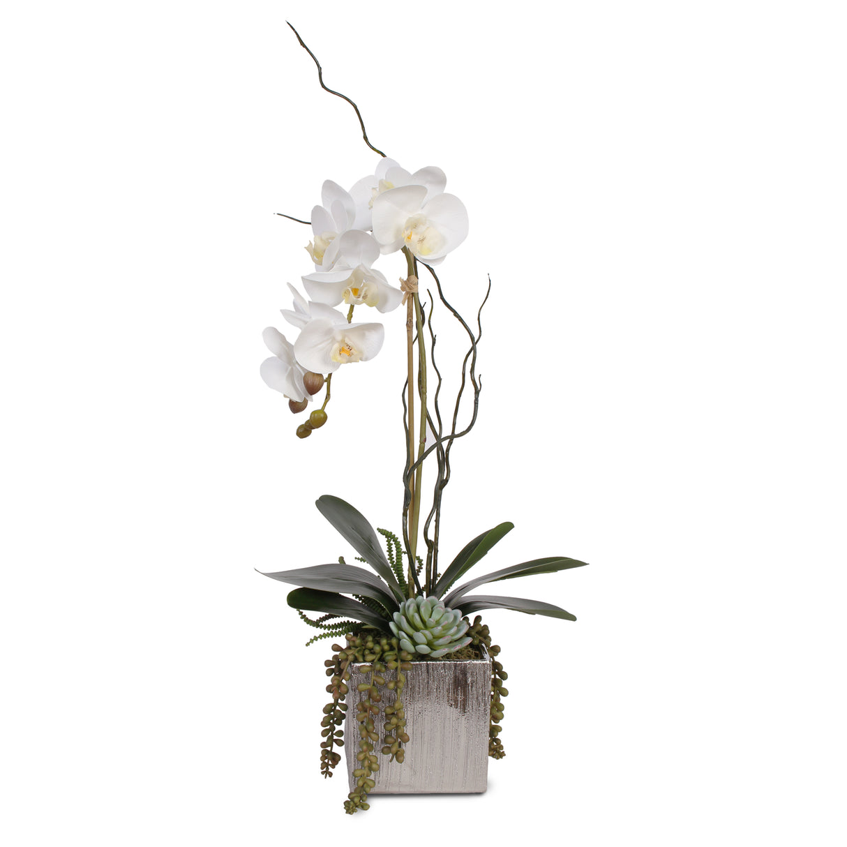 Real Touch White Phalaenopsis Orchid with Succulents in Silver Ceramic Pot #F-44