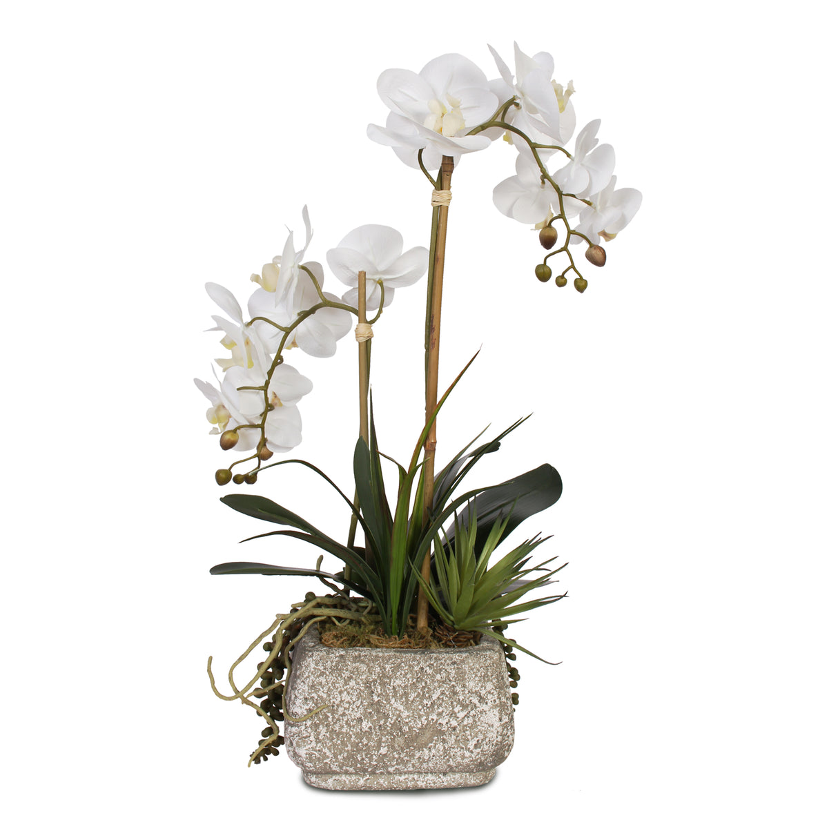 Real Touch Phalaenopsis Orchids with Succulents Artificial Flower Arrangement #F-47