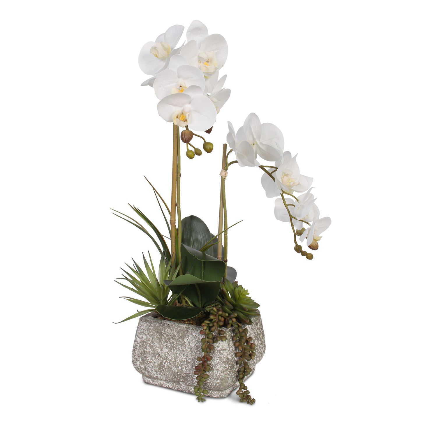 Real Touch Phalaenopsis Orchids with Succulents Artificial Flower Arrangement #F-47