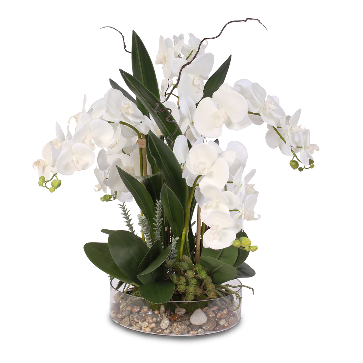 Real Touch White Phalaenopsis Orchid with Succulents and Natural Rocks in a Glass Bowl #F-4W