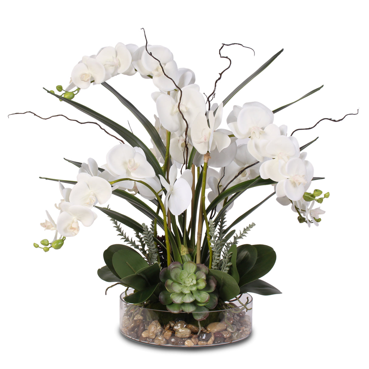 Real Touch White Phalaenopsis Orchid with Succulents and Natural Rocks in a Glass Bowl #F-4W