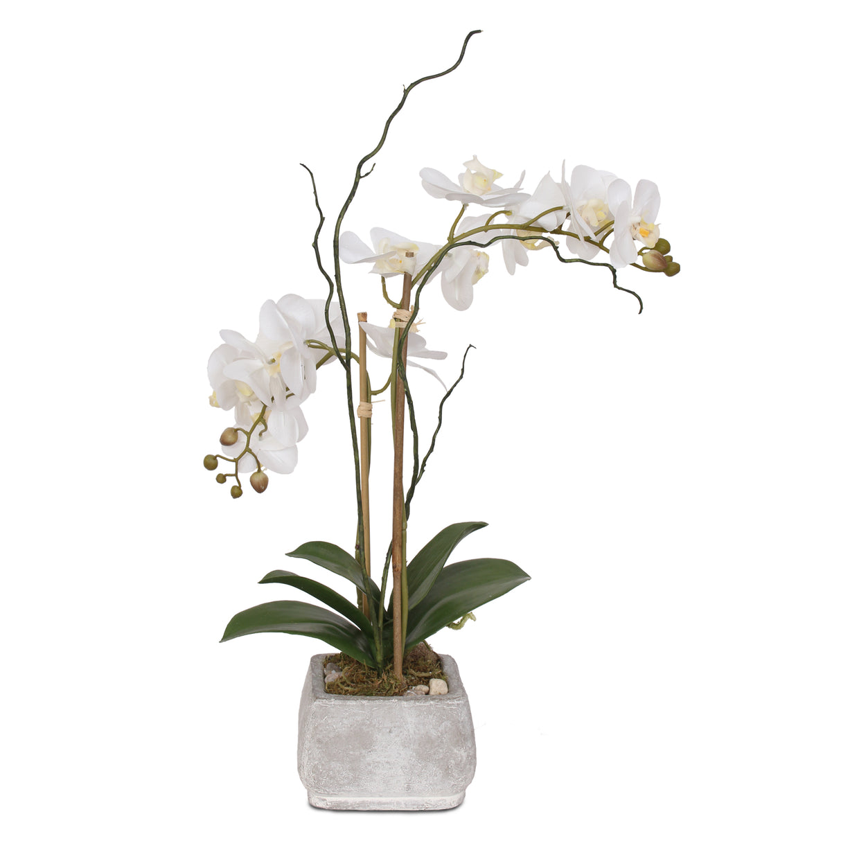 Real Touch White Phalaenopsis Orchids in Stone Wash Pot #F-51