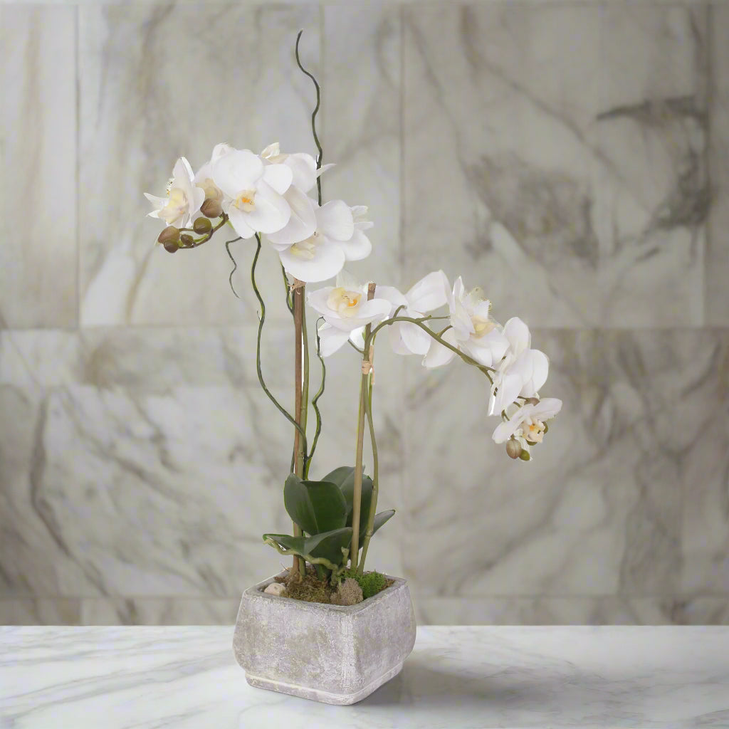 Real Touch White Phalaenopsis Orchids in Stone Wash Pot #F-51