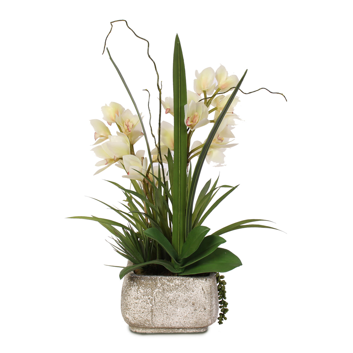 Real Touch White Cymbidium Orchids with Artificial Succulents in Concrete Pot #F-56