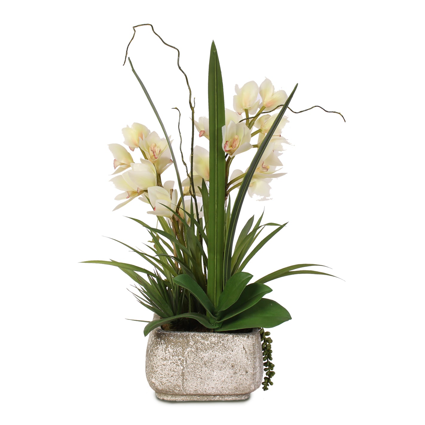 Real Touch White Cymbidium Orchids with Artificial Succulents in Concrete Pot #F-56