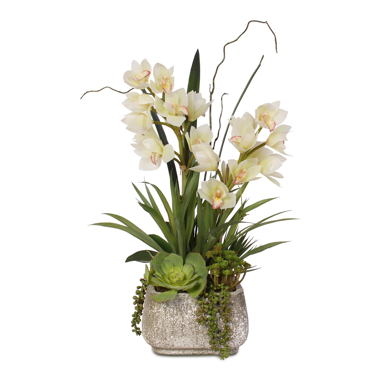 Real Touch White Cymbidium Orchids with Artificial Succulents in Concrete Pot #F-56