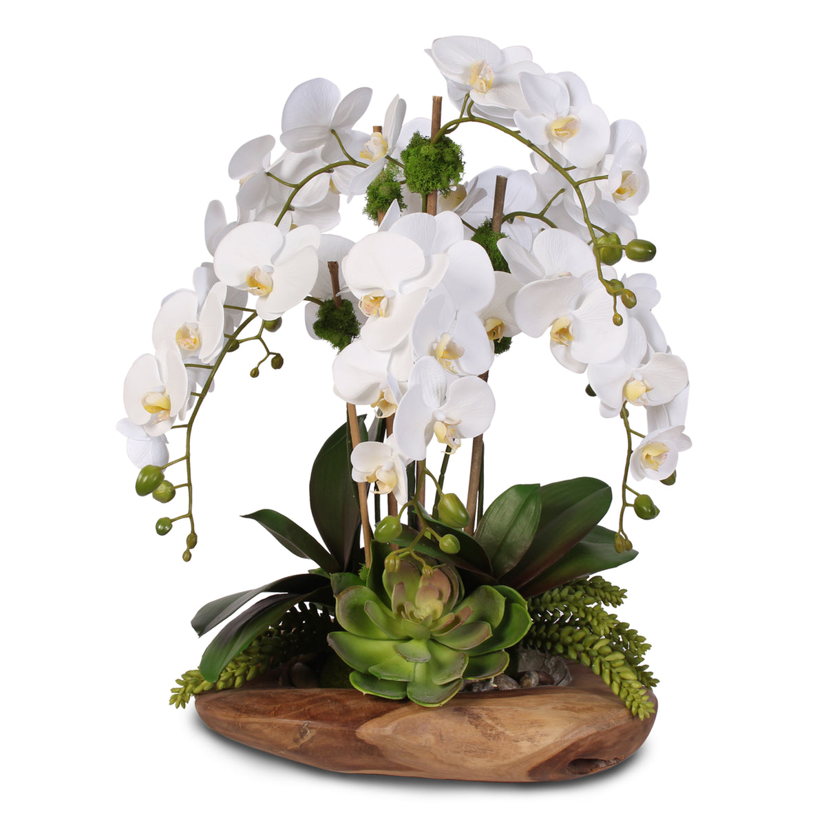 Kunstorchidee Orchidee Phalaenopsis Orchidee, Creativ green, Höhe 55 cm, mit real-touch-Blüten
