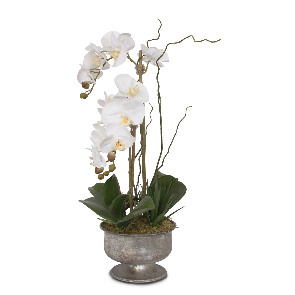 Real Touch White Phalaenopsis Orchid with Succulent in Silver Aged Metal Pot #F-71