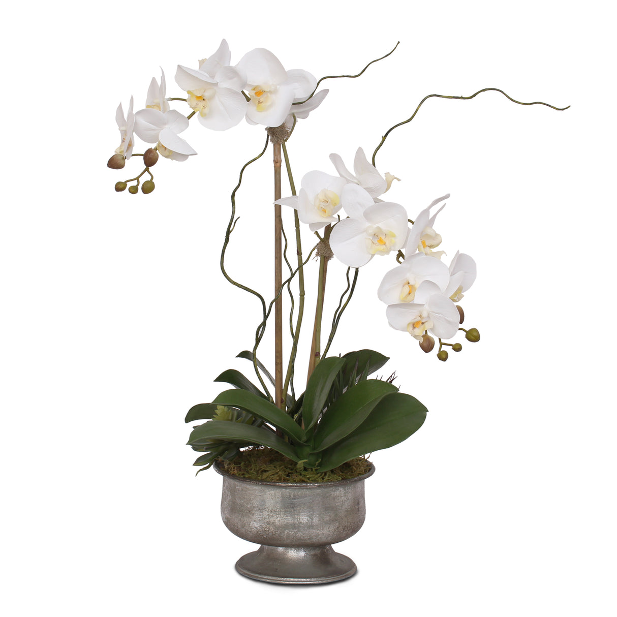Real Touch White Phalaenopsis Orchid with Succulent in Silver Aged Metal Pot #F-71