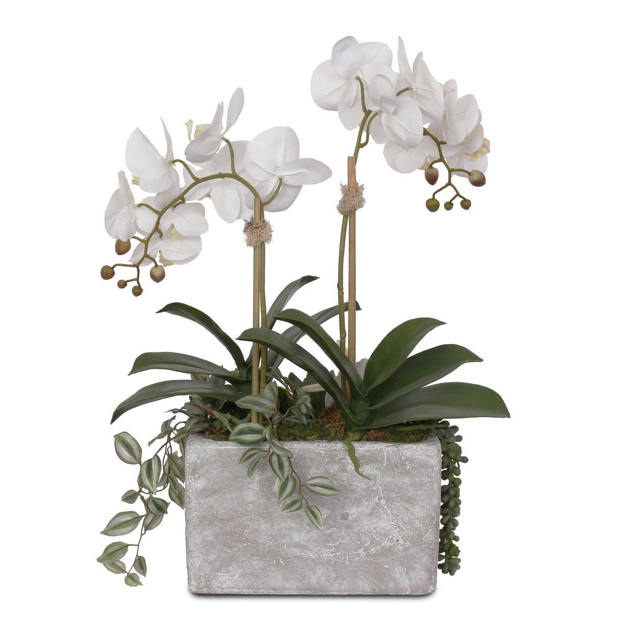 Jenny Silks Real Touch Cream White Phalaenopsis Orchid with Seashells Artificial Arrangement in Rectangle Stone Wash Pot #F-72