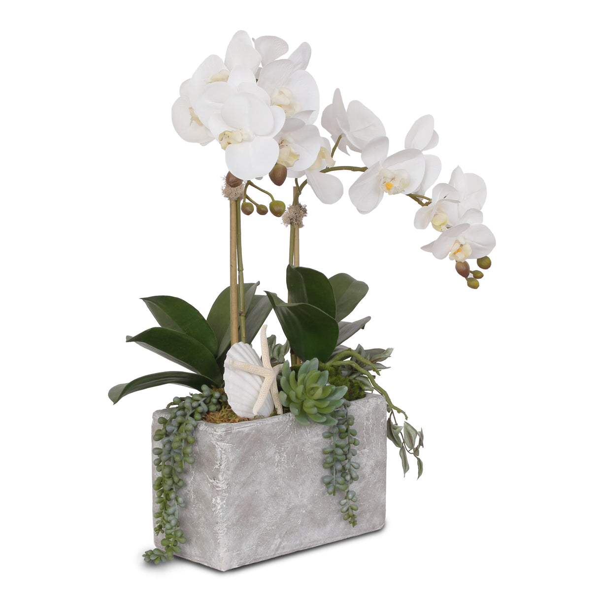Jenny Silks Real Touch Cream White Phalaenopsis Orchid with Seashells Artificial Arrangement in Rectangle Stone Wash Pot #F-72