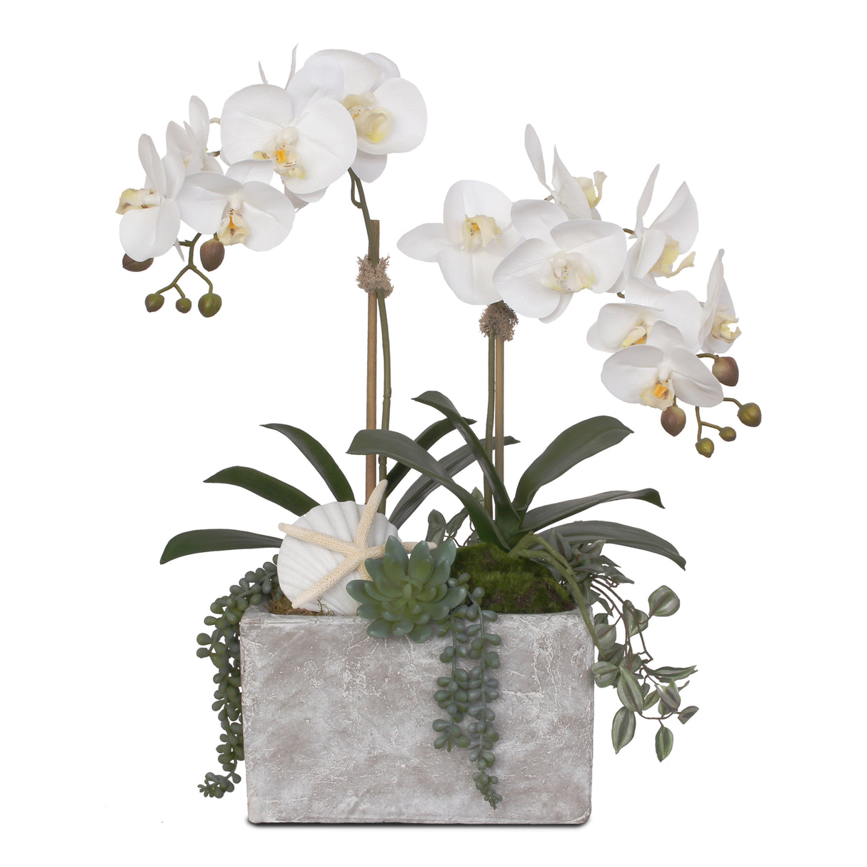 Jenny Silks Real Touch Cream White Phalaenopsis Orchid with Seashells Artificial Arrangement in Rectangle Stone Wash Pot #F-72