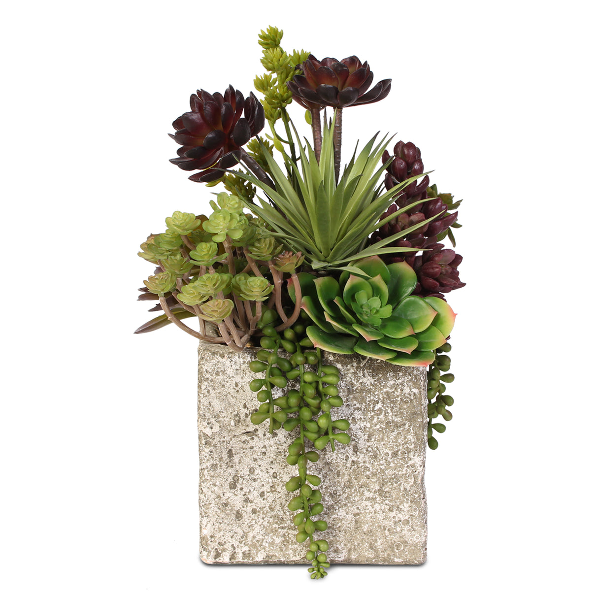 Succulent, Hen & Chicks Coastal Cottage Arrangement in Cement Pot #JS03