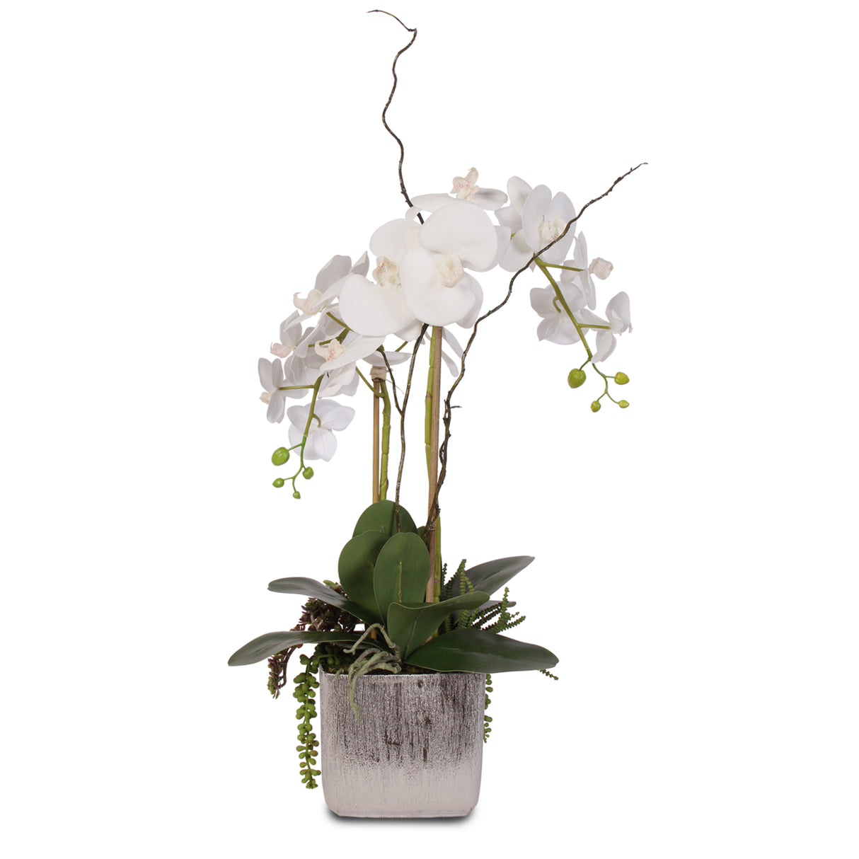 Real Touch White Orchid and Succulent Arrangement #JS05