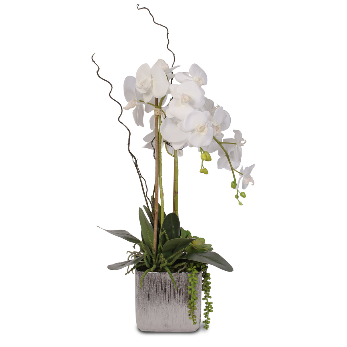 Real Touch White Orchid and Succulent Arrangement #JS05