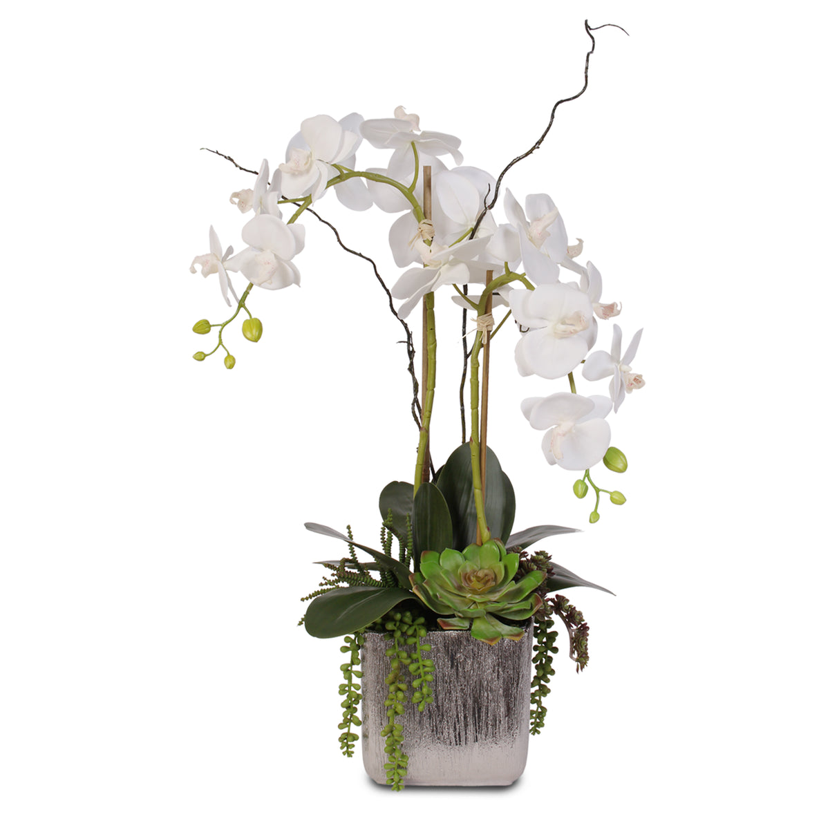 Real Touch White Orchid and Succulent Arrangement #JS05