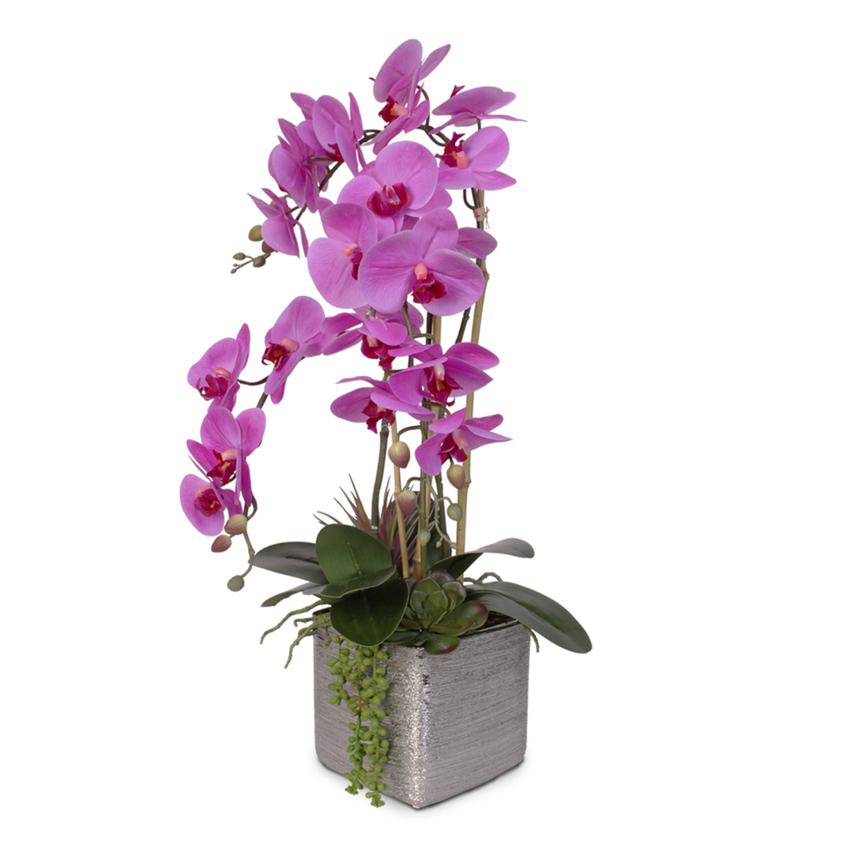 Real Touch Purple Beauty Orchid and Succulent Arrangement #JS07