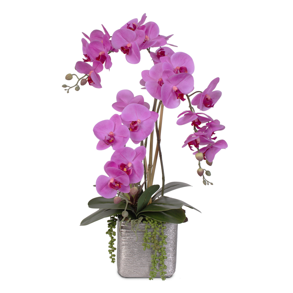 Real Touch Purple Beauty Orchid and Succulent Arrangement #JS07