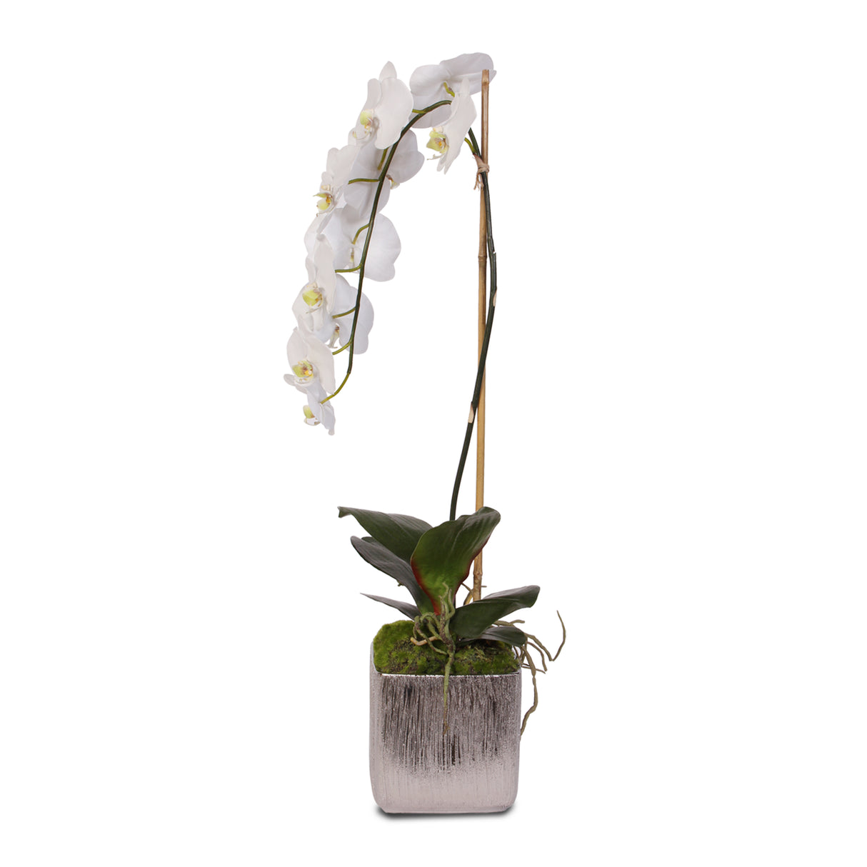 Jenny Silks White Real Touch Silk Phalaenopsis Orchid in Square Etched Silver Ceramic Pot #JS11