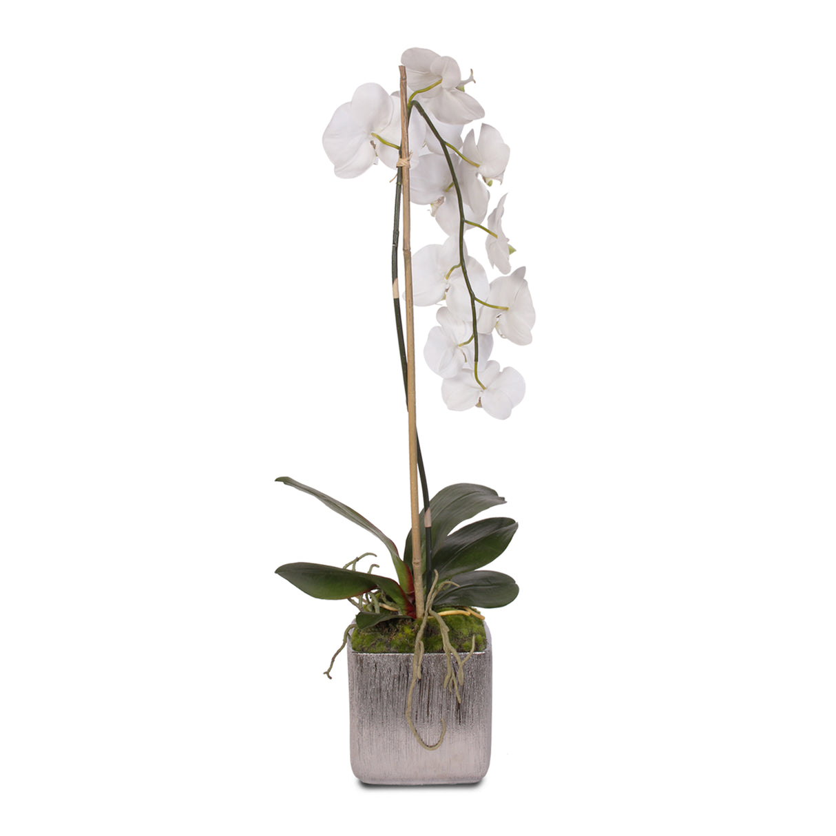 Jenny Silks White Real Touch Silk Phalaenopsis Orchid in Square Etched Silver Ceramic Pot #JS11