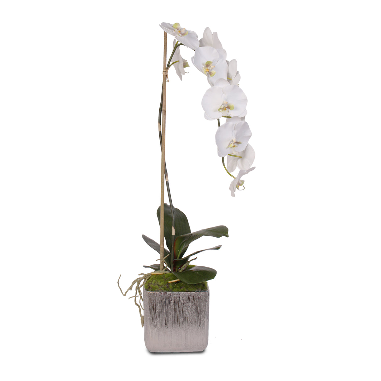 Jenny Silks White Real Touch Silk Phalaenopsis Orchid in Square Etched Silver Ceramic Pot #JS11