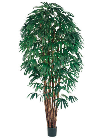 8' Rhapis Tree x7 with 1400 Leaves in Pot Green #LPR318-GR/TT
