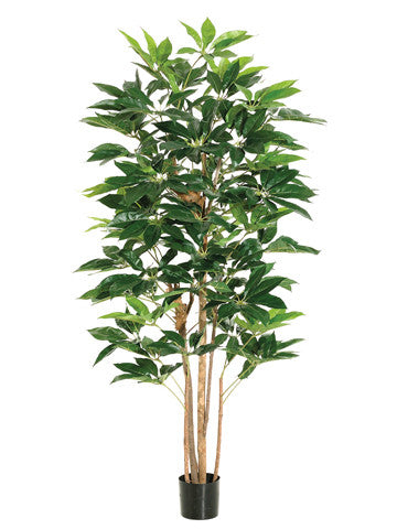 6' Schefflera Tree with 420 Leaves in Pot Green #LTS106-GR