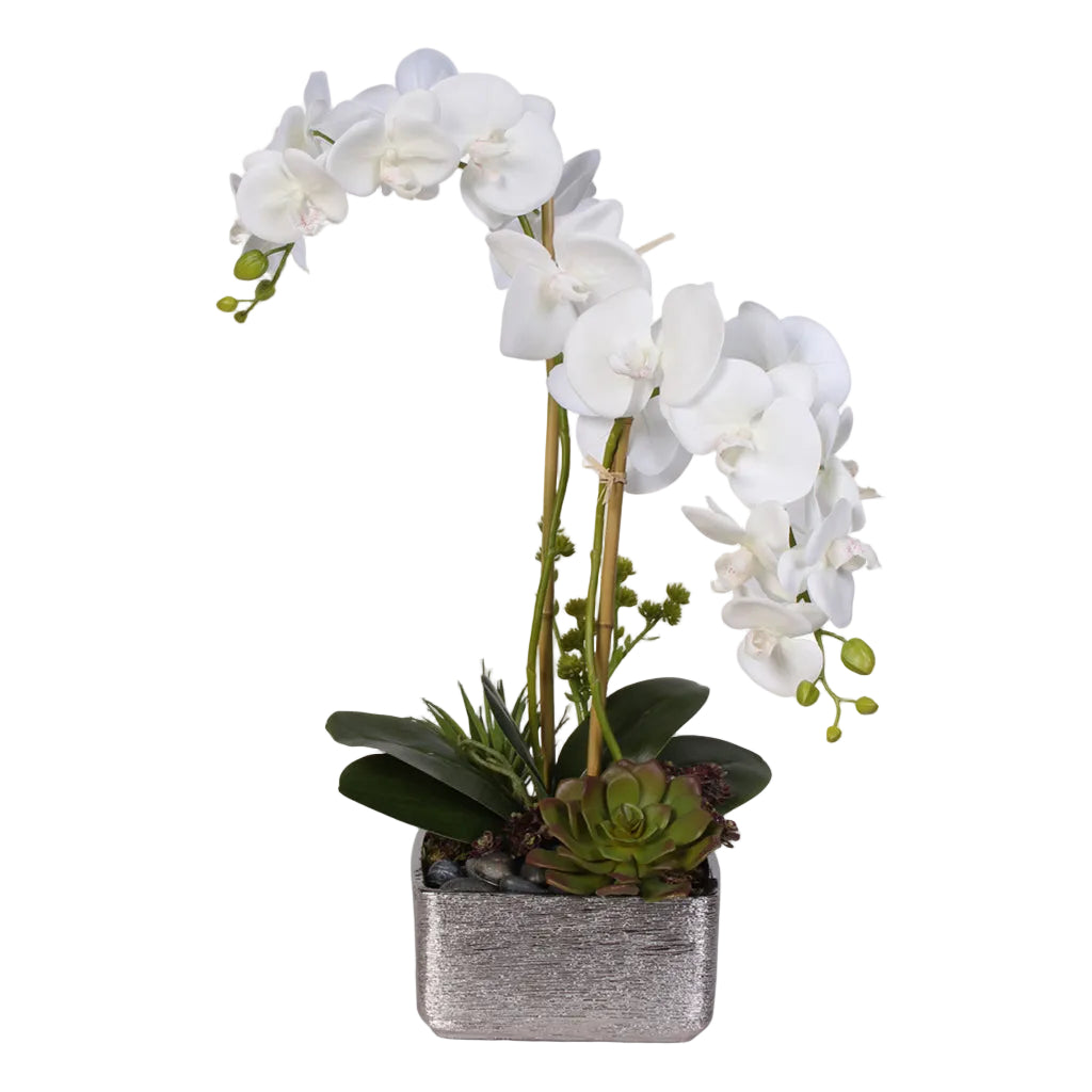 Real Touch White Phalaenopsis Orchid with Succulents in a Silver Ceramic Pot #OS-14