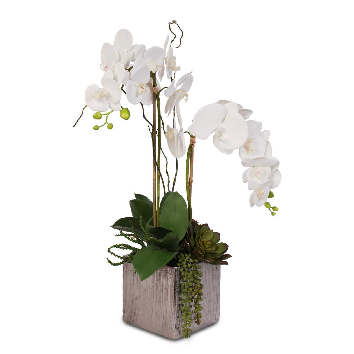 Real Touch White Phalaenopsis Orchids With Succulents in Silver Ceramic Pot #OS-17