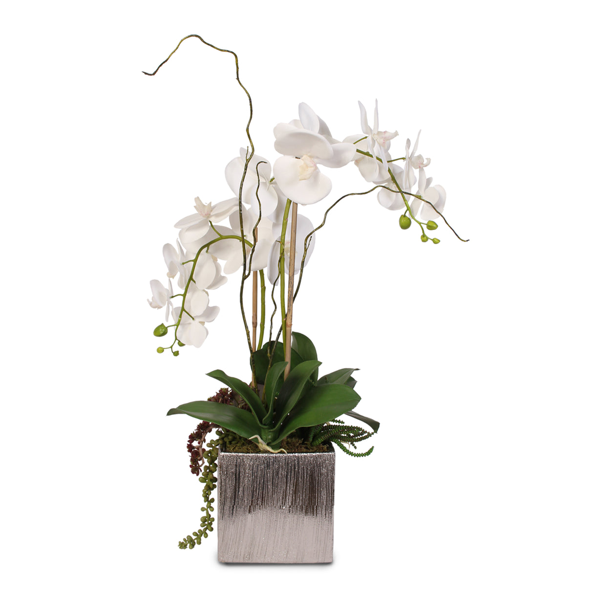 Real Touch White Phalaenopsis Orchids With Succulents in Silver Ceramic Pot #OS-17