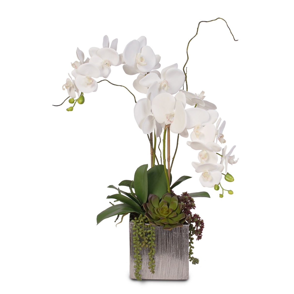 Real Touch White Phalaenopsis Orchids With Succulents in Silver Ceramic Pot #OS-17