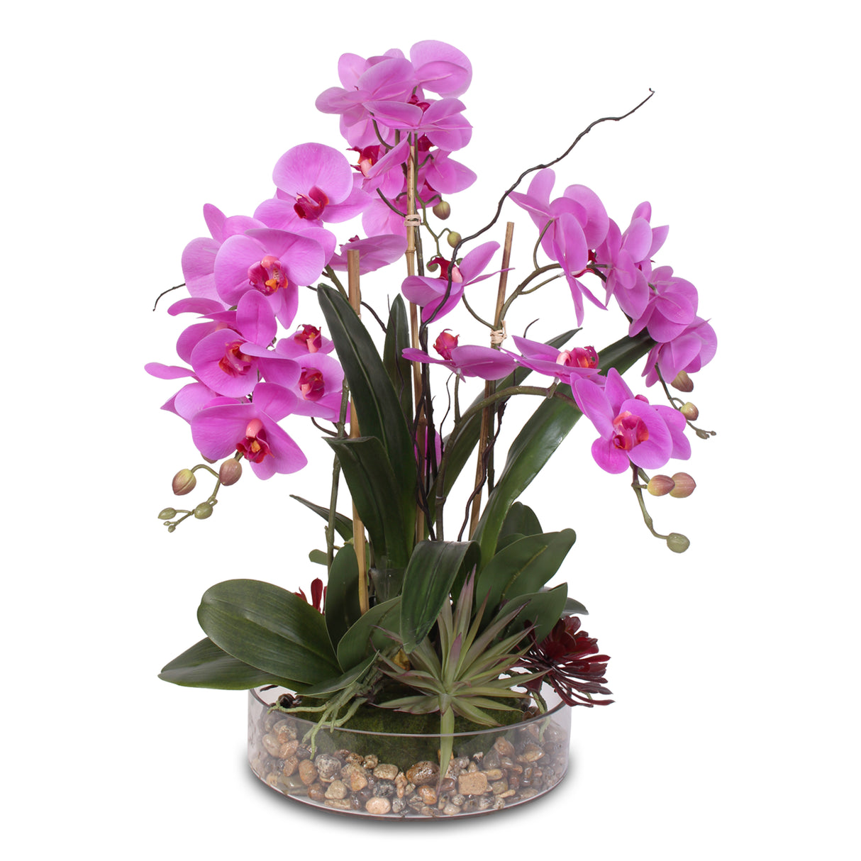 Real Touch Purple Phalaenopsis Orchid with Succulents and Natural Rocks in Glass Pot #OS-29