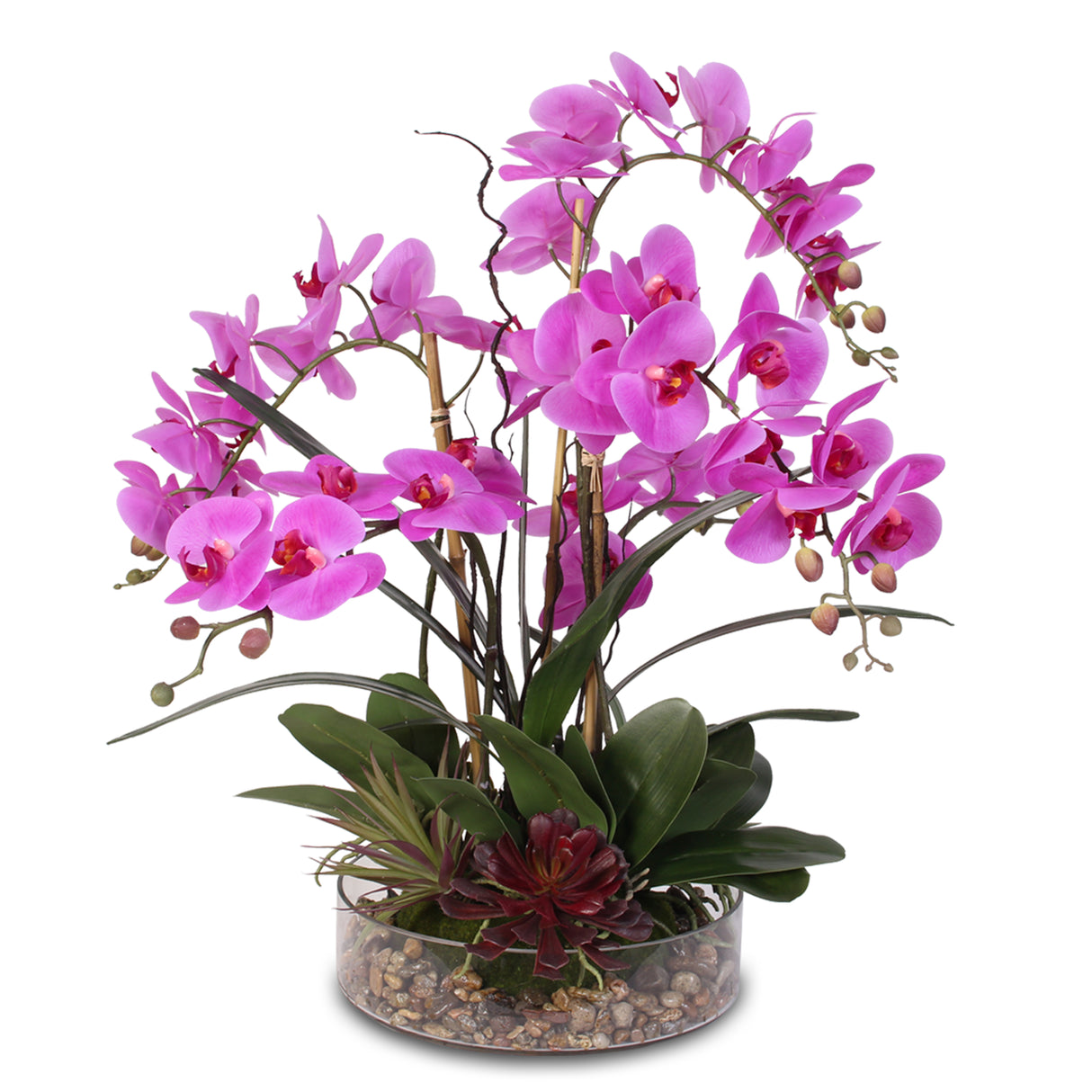 Real Touch Purple Phalaenopsis Orchid with Succulents and Natural Rocks in Glass Pot #OS-29