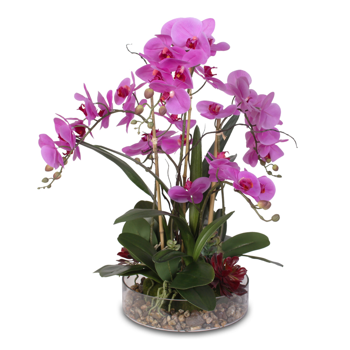 Real Touch Purple Phalaenopsis Orchid with Succulents and Natural Rocks in Glass Pot #OS-29