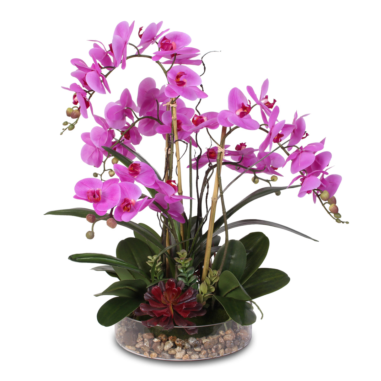 Real Touch Purple Phalaenopsis Orchid with Succulents and Natural Rocks in Glass Pot #OS-29