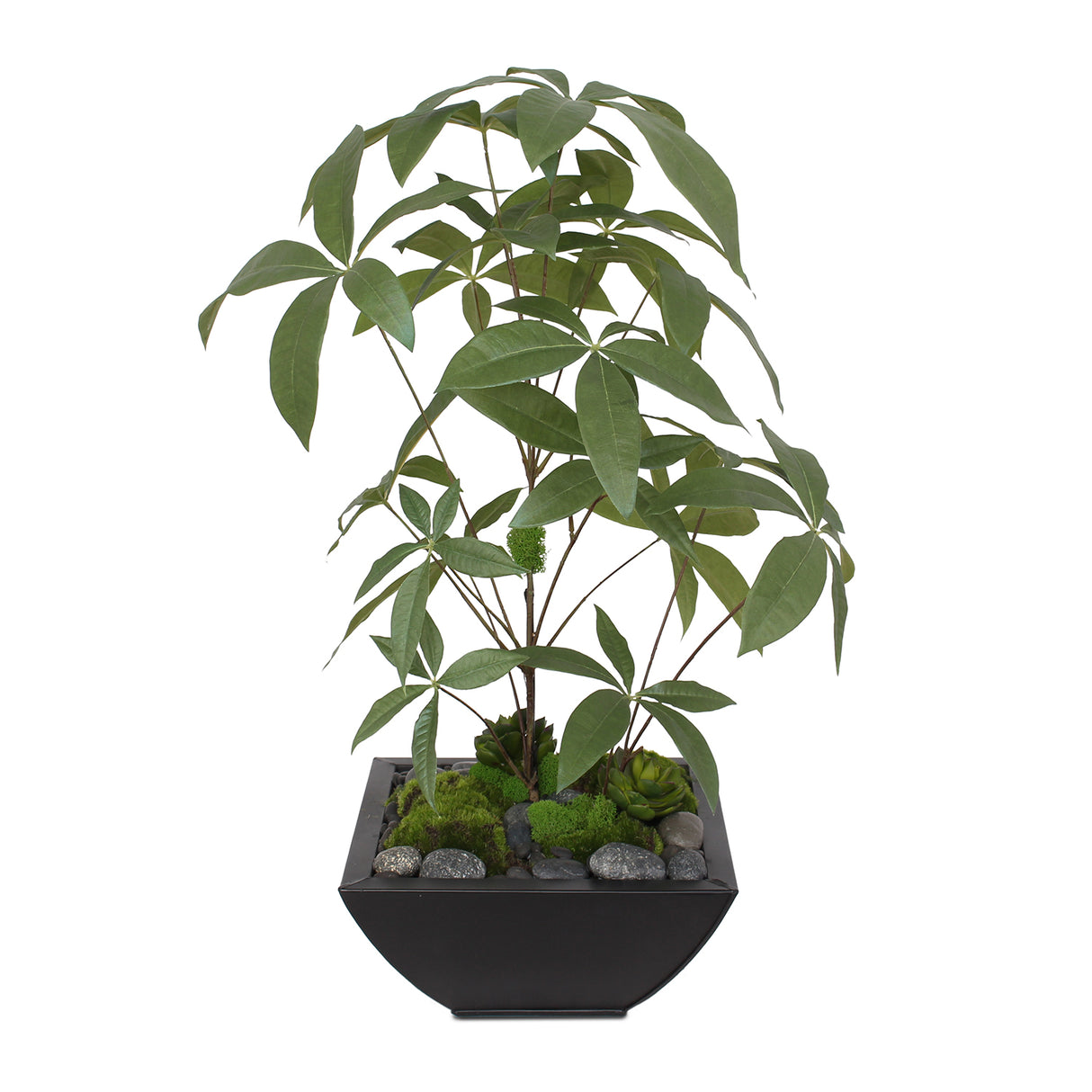 Artificial Chinese Money Tree with Succulents in Black Zinc Pot #P-17