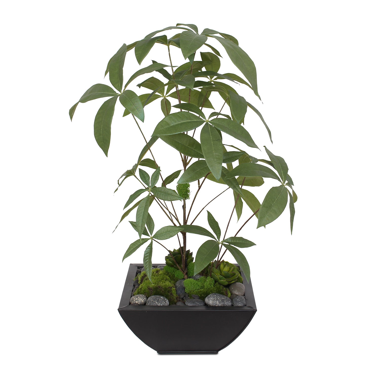 Artificial Chinese Money Tree with Succulents in Black Zinc Pot #P-17