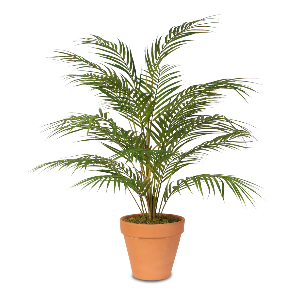 Real Touch Artificial Areca Palm Plant in a Clay Pot #P-48C