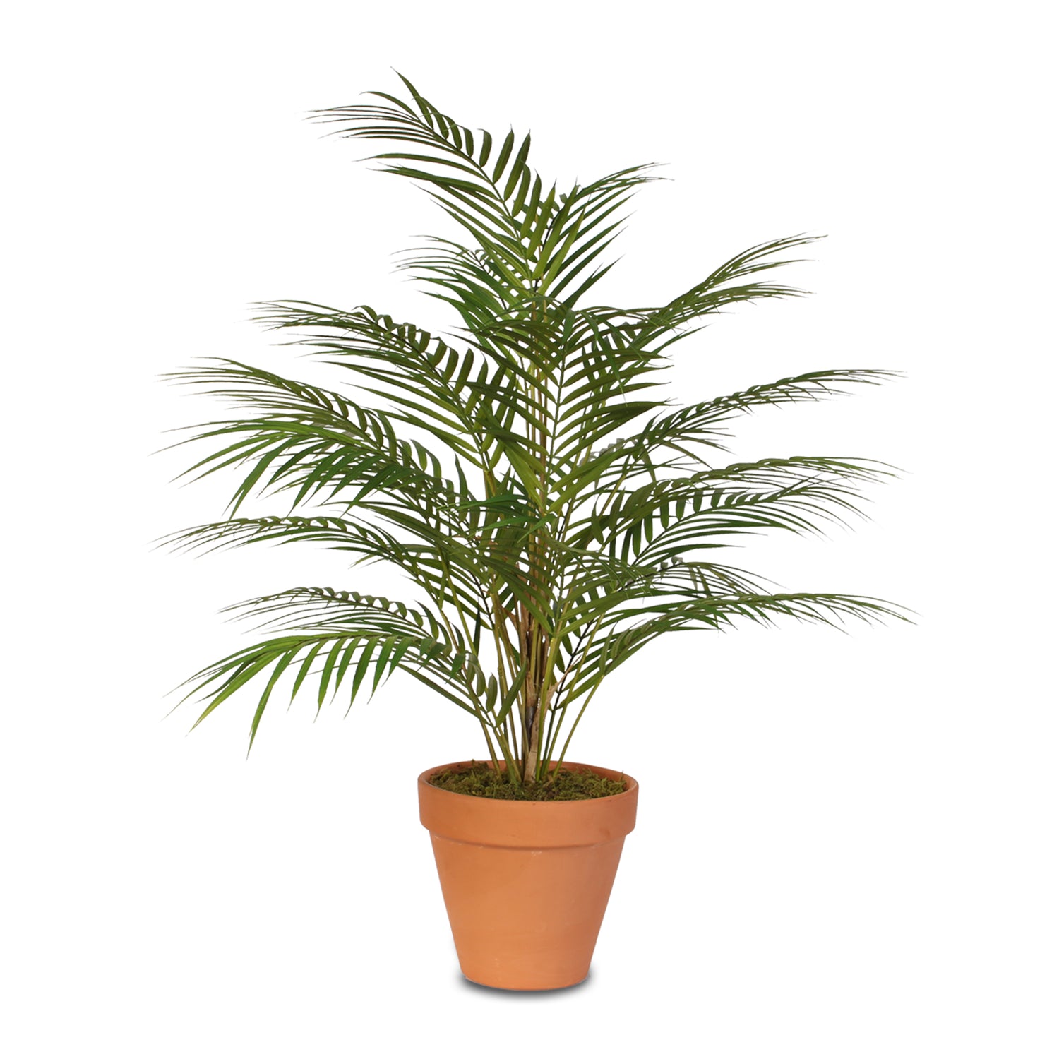 Real Touch Artificial Areca Palm Plant in a Clay Pot #P-48C