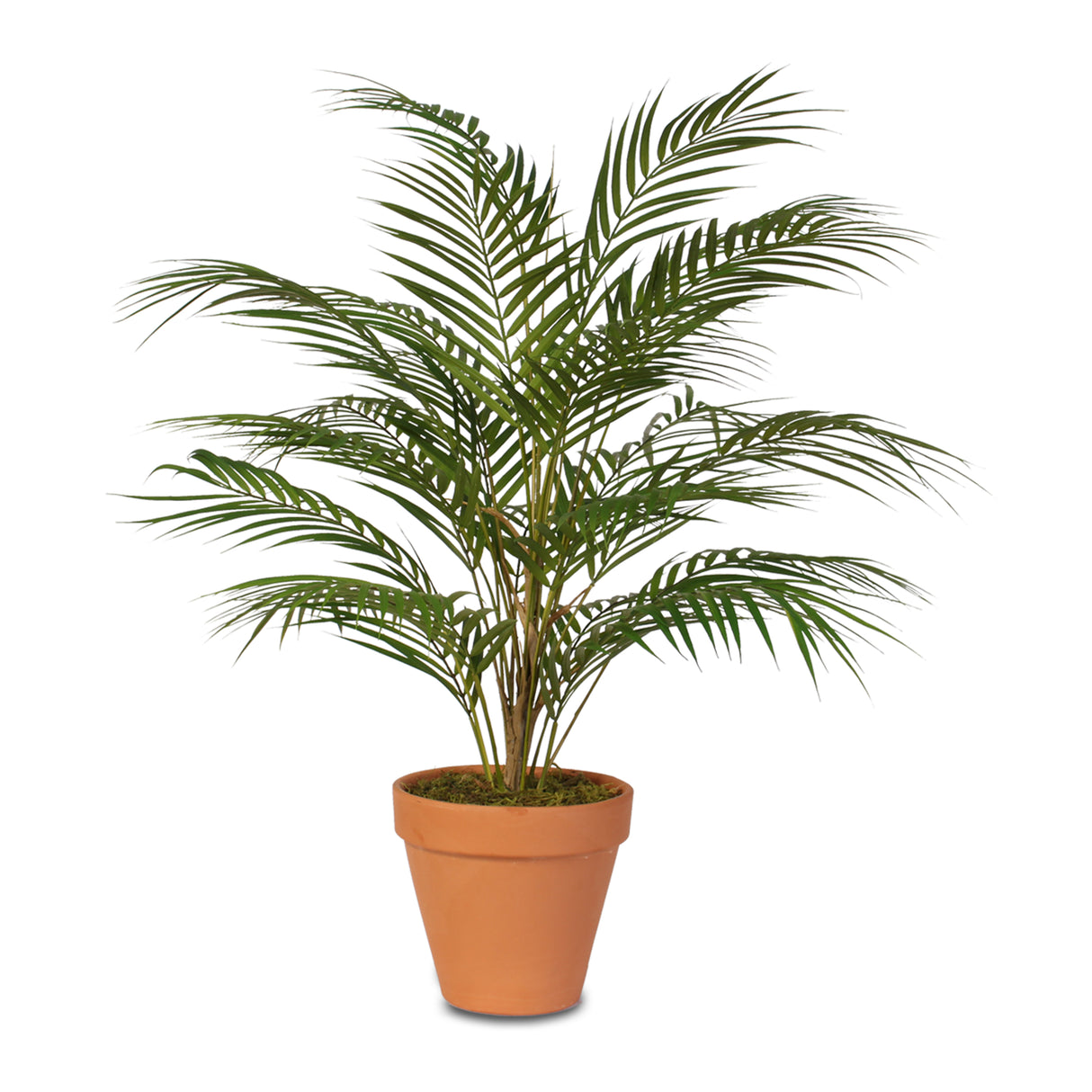 Real Touch Artificial Areca Palm Plant in a Clay Pot #P-48C