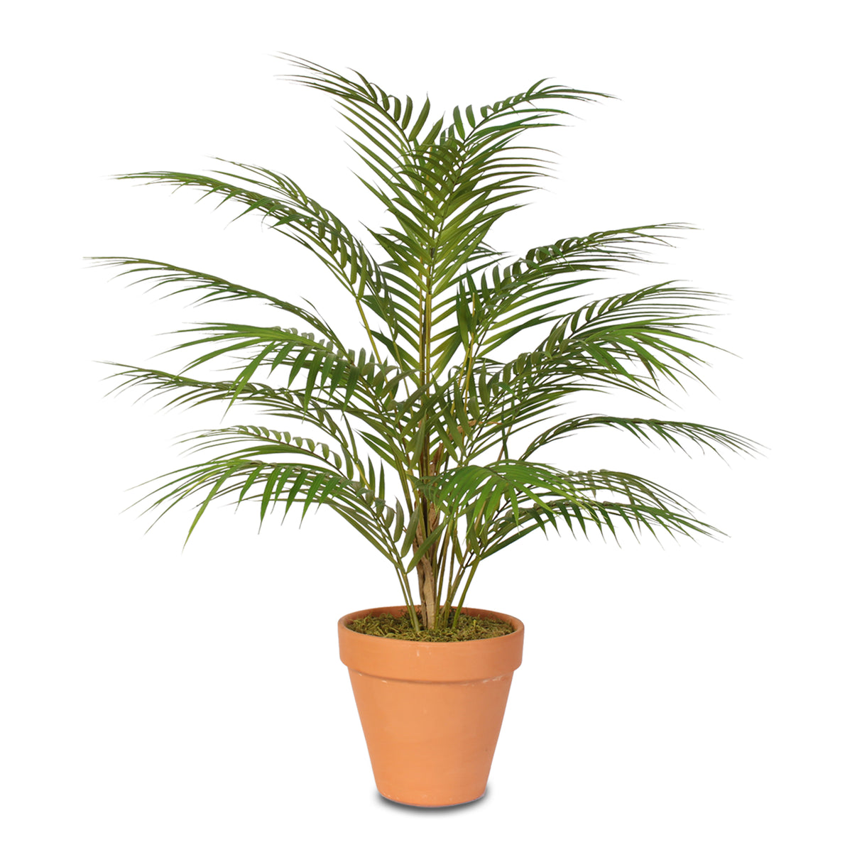 Real Touch Artificial Areca Palm Plant in a Clay Pot #P-48C