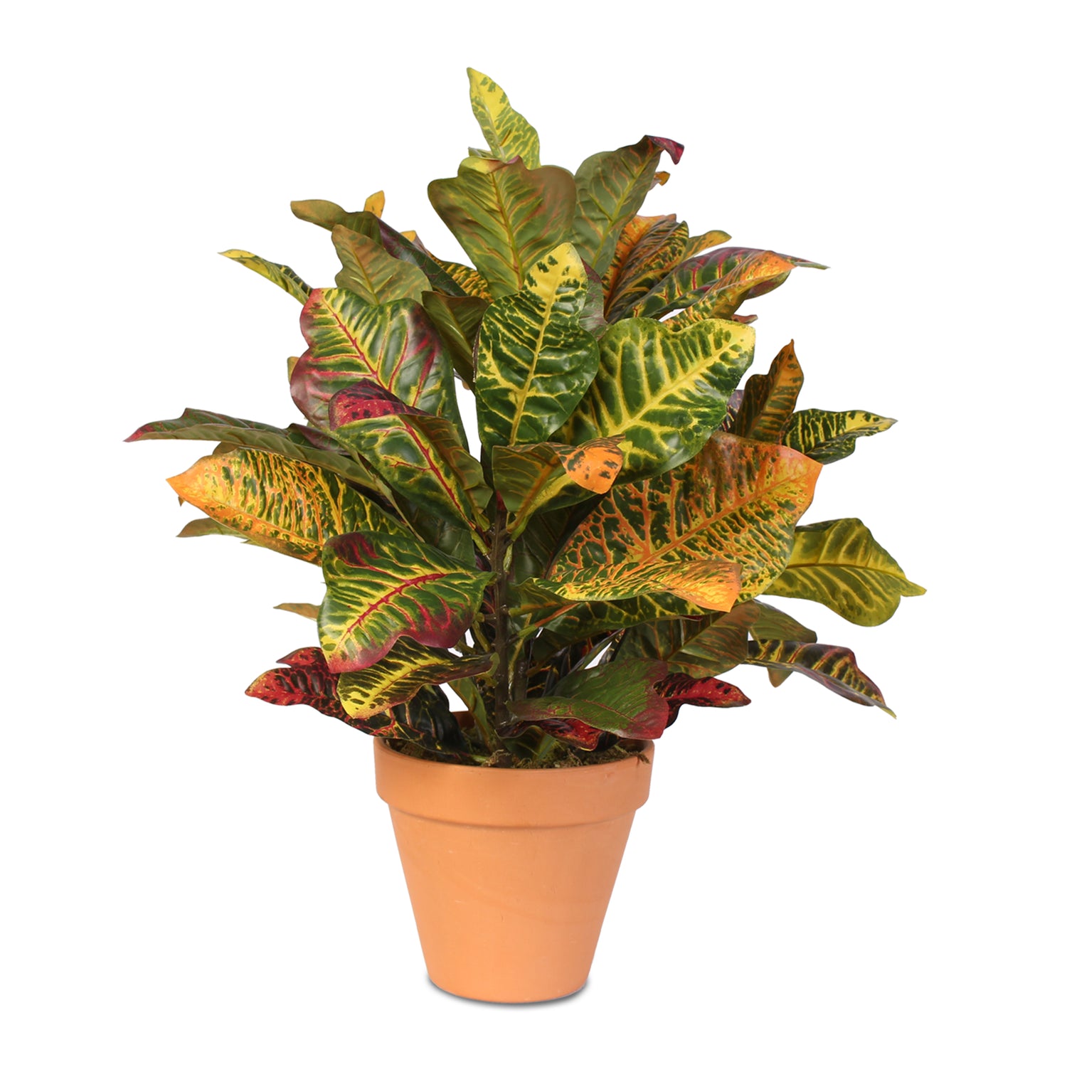 Real Touch Croton Plant in Clay Pot #P-70D