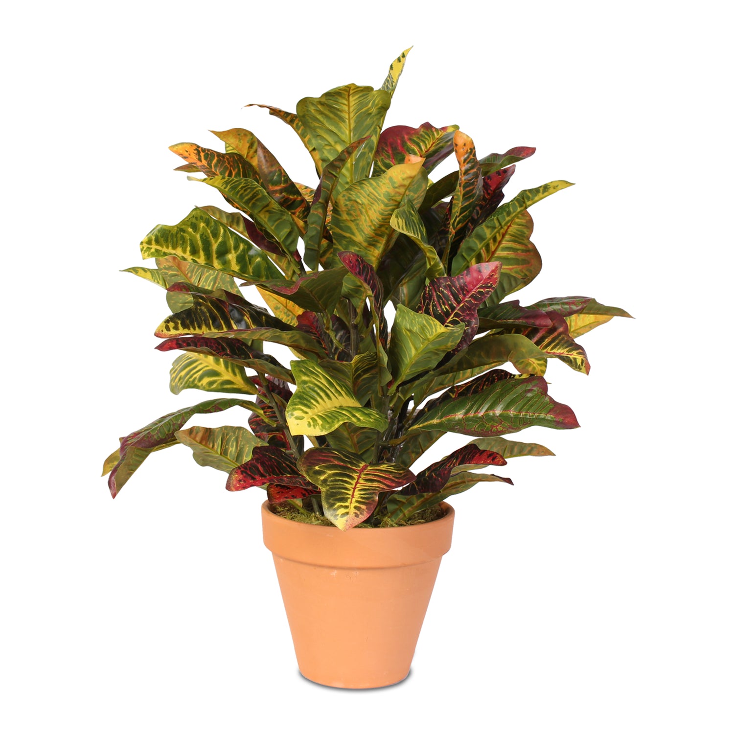 Real Touch Croton Plant in Clay Pot #P-70D