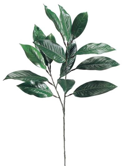 Magnolia Leaf Spray x2 #PM9819-GR