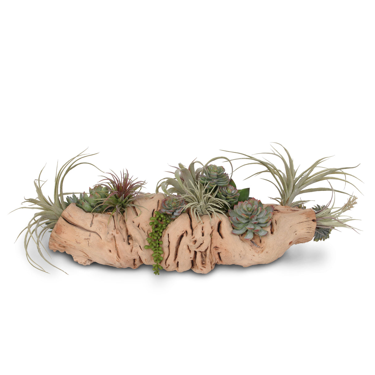 Succulents in Grapevine Wood Log #S-24
