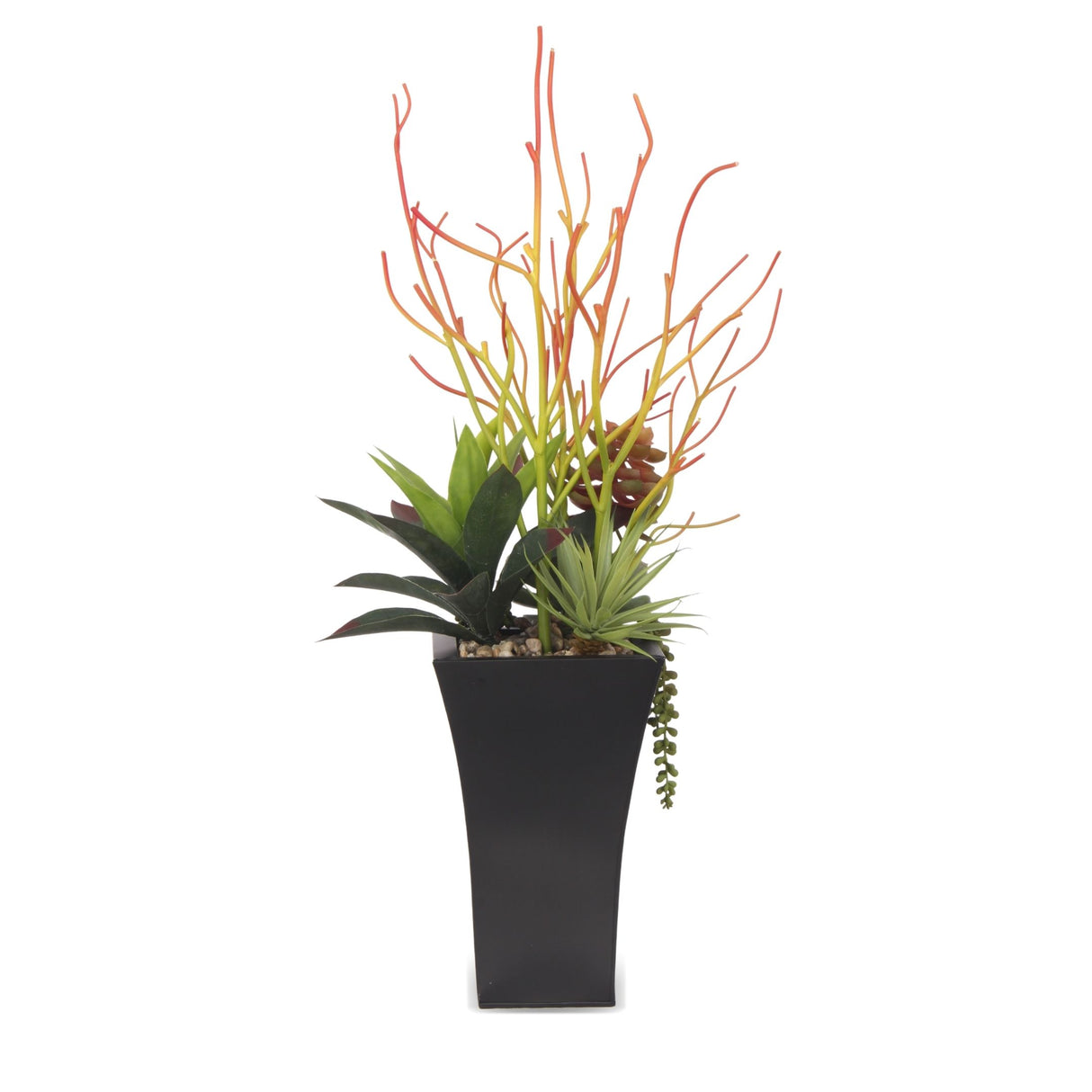 Pencil Cactus, Agave, Succulents Arrangement in A Black Square Metal Pot#S-39